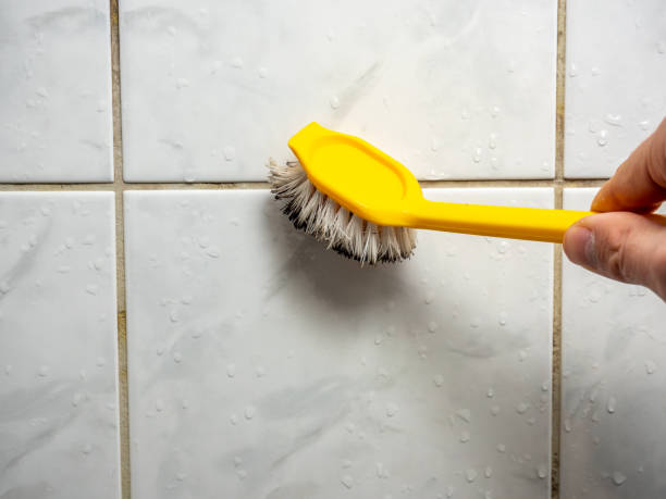 Best Localized Mold Remediation (e.g., coastal areas, humid climates) in Sea Cliff, NY