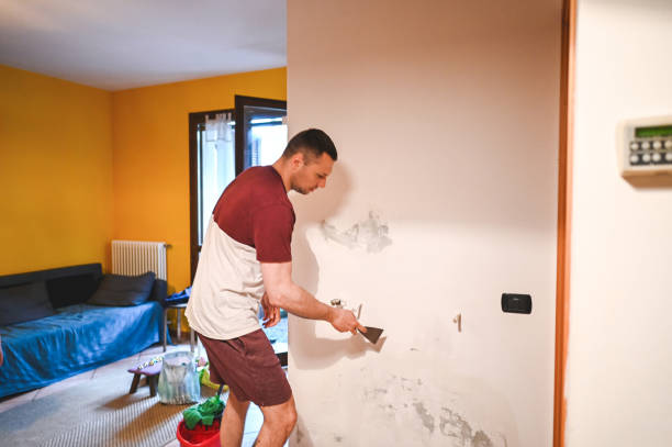 Best Post-Remediation Services in Sea Cliff, NY
